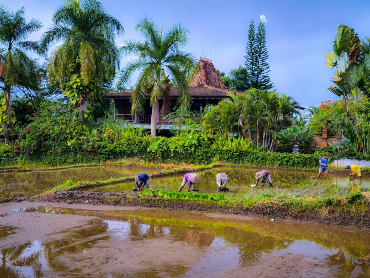 Ayu Dira Heritage House 乌布 外观 照片